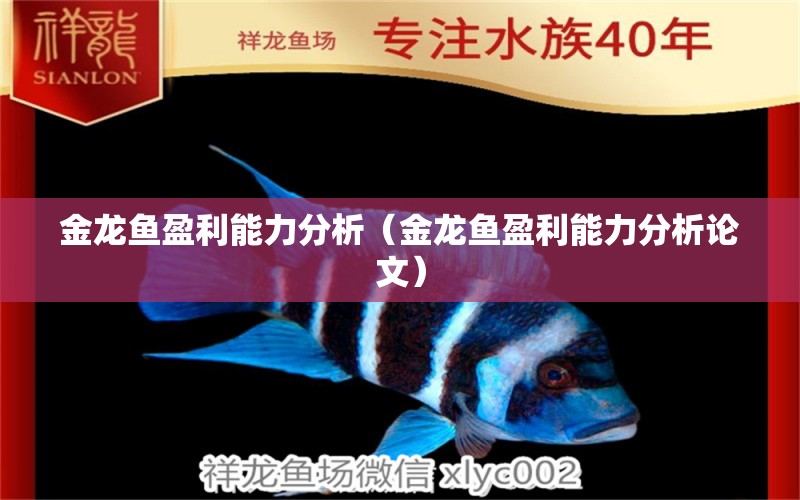 金龍魚盈利能力分析（金龍魚盈利能力分析論文）