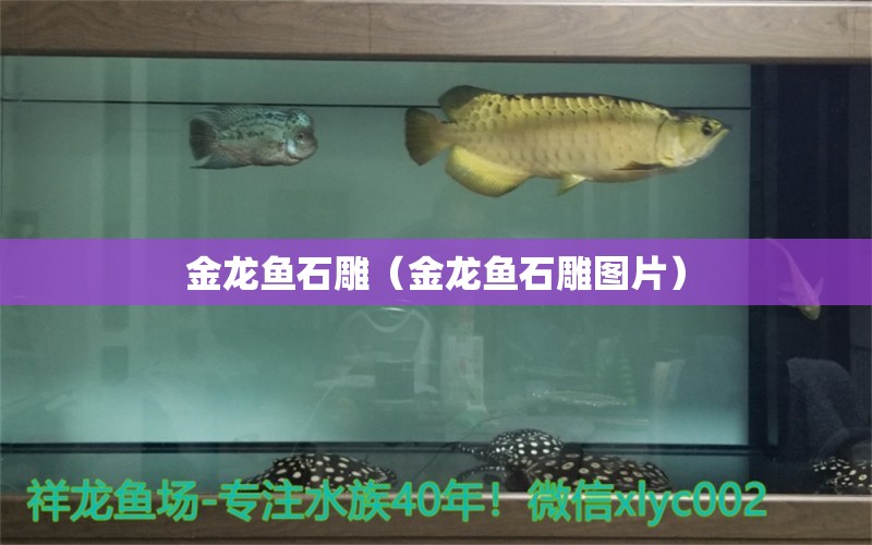 金龍魚石雕（金龍魚石雕圖片） 森森魚缸