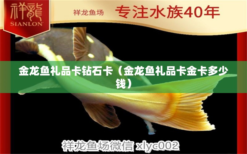 金龍魚禮品卡鉆石卡（金龍魚禮品卡金卡多少錢） 祥龍水族醫(yī)院