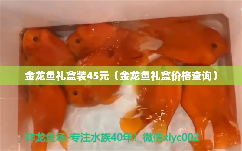 金龍魚禮盒裝45元（金龍魚禮盒價格查詢）