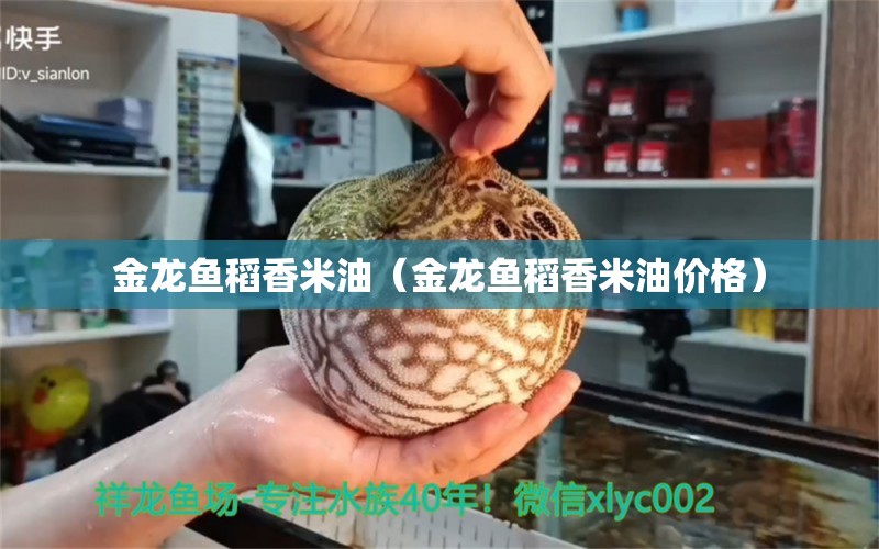 金龍魚稻香米油（金龍魚稻香米油價格）