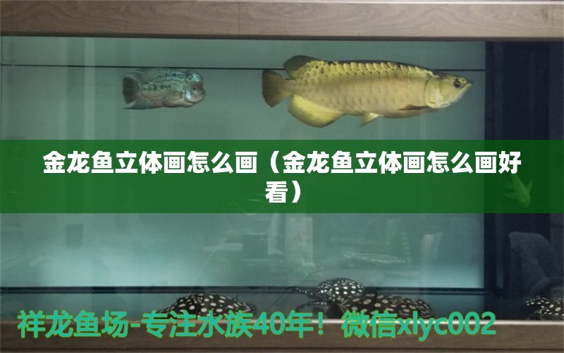 金龍魚(yú)立體畫(huà)怎么畫(huà)（金龍魚(yú)立體畫(huà)怎么畫(huà)好看） 祥龍水族醫(yī)院