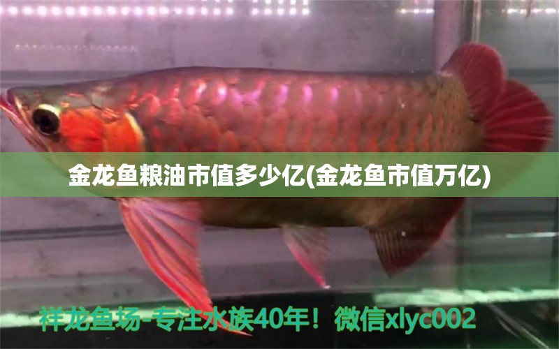 金龍魚糧油市值多少億(金龍魚市值萬億) 金龍魚糧