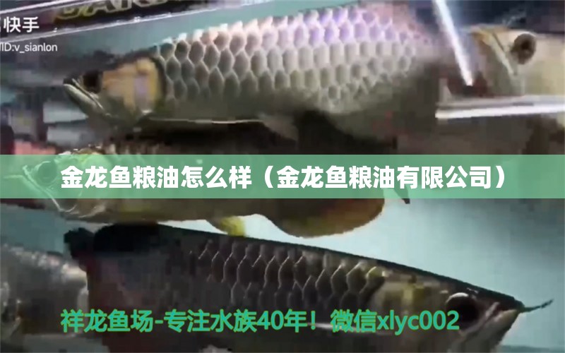 金龍魚糧油怎么樣（金龍魚糧油有限公司）