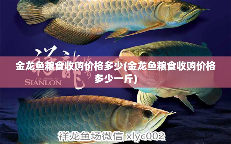 金龍魚糧食收購價格多少(金龍魚糧食收購價格多少一斤) 金龍魚糧