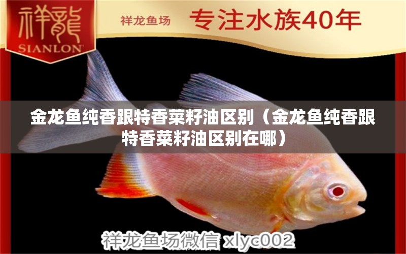 金龍魚純香跟特香菜籽油區(qū)別（金龍魚純香跟特香菜籽油區(qū)別在哪）