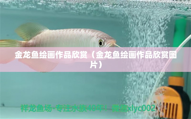 金龍魚繪畫作品欣賞（金龍魚繪畫作品欣賞圖片）