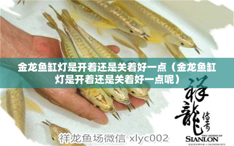 金龍魚缸燈是開著還是關(guān)著好一點（金龍魚缸燈是開著還是關(guān)著好一點呢）