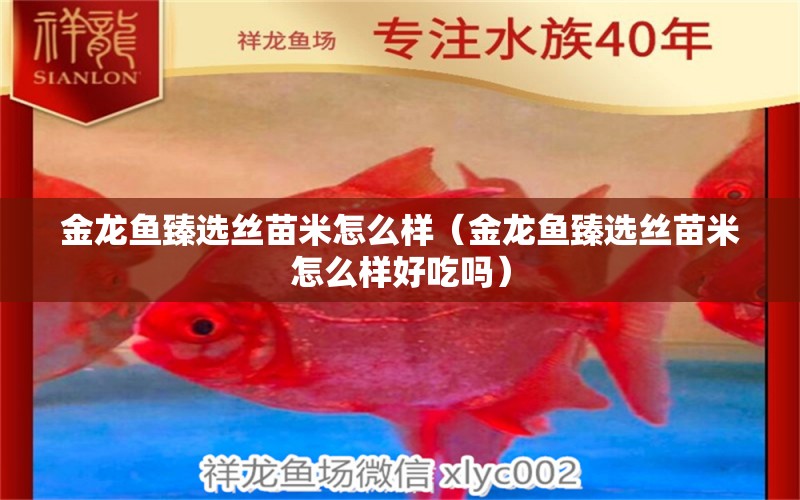 金龍魚臻選絲苗米怎么樣（金龍魚臻選絲苗米怎么樣好吃嗎） 祥龍水族醫(yī)院