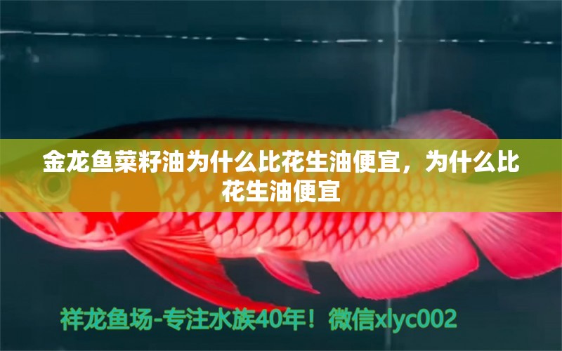 金龍魚(yú)菜籽油為什么比花生油便宜，為什么比花生油便宜