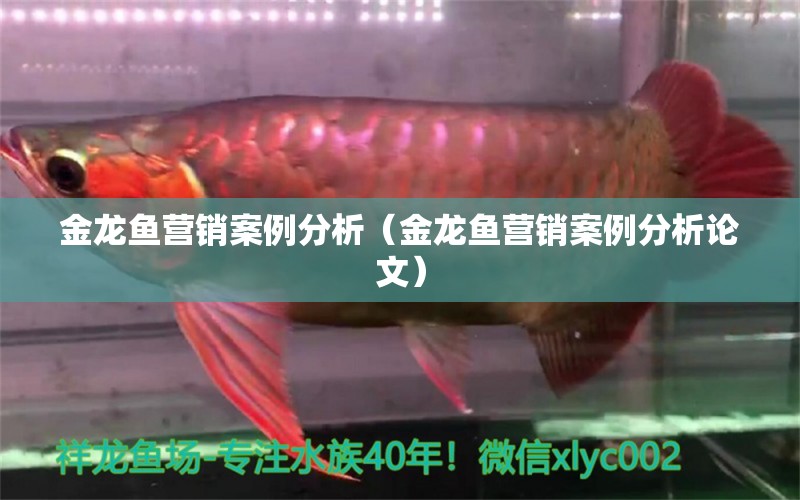 金龍魚營銷案例分析（金龍魚營銷案例分析論文）