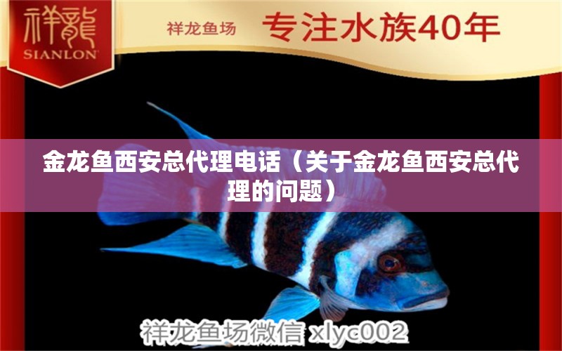 金龍魚西安總代理電話（關(guān)于金龍魚西安總代理的問題）