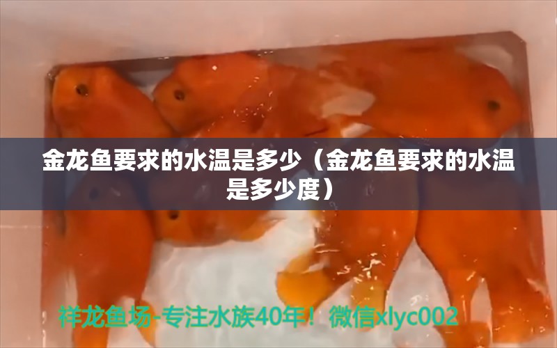 金龍魚要求的水溫是多少（金龍魚要求的水溫是多少度） 觀賞魚市場（混養(yǎng)魚）