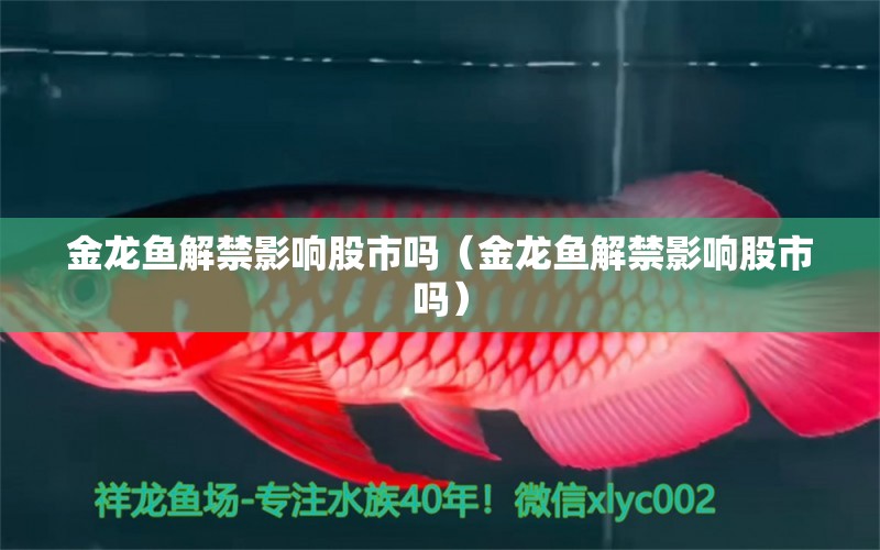 金龍魚解禁影響股市嗎（金龍魚解禁影響股市嗎） 觀賞龜/鱉飼料