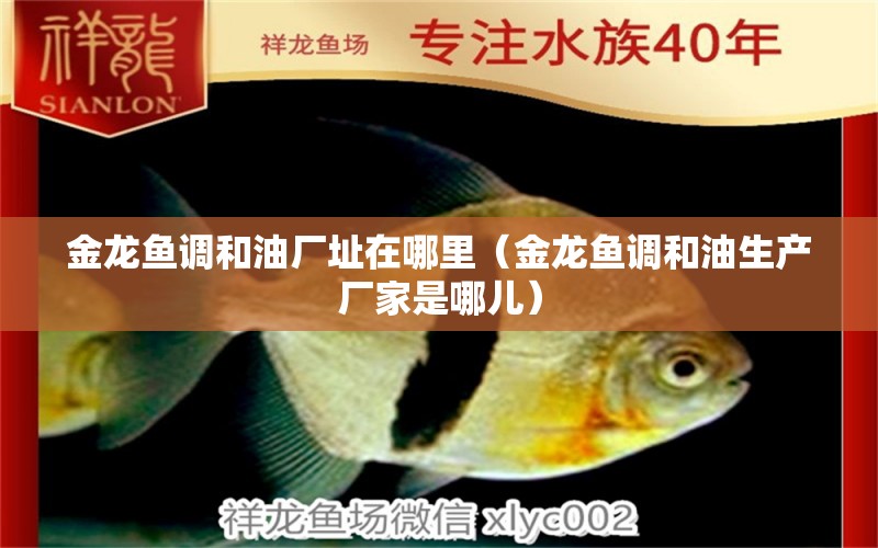 金龍魚調(diào)和油廠址在哪里（金龍魚調(diào)和油生產(chǎn)廠家是哪兒）