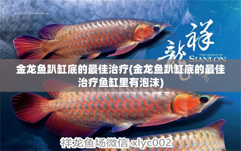 金龍魚趴缸底的最佳治療(金龍魚趴缸底的最佳治療魚缸里有泡沫)