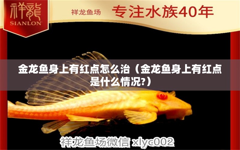 金龍魚身上有紅點怎么治（金龍魚身上有紅點是什么情況?）