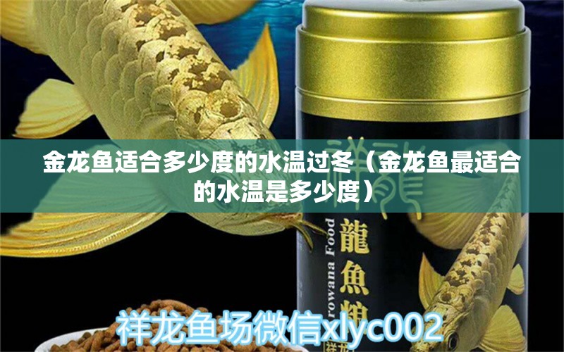 金龍魚適合多少度的水溫過冬（金龍魚最適合的水溫是多少度）