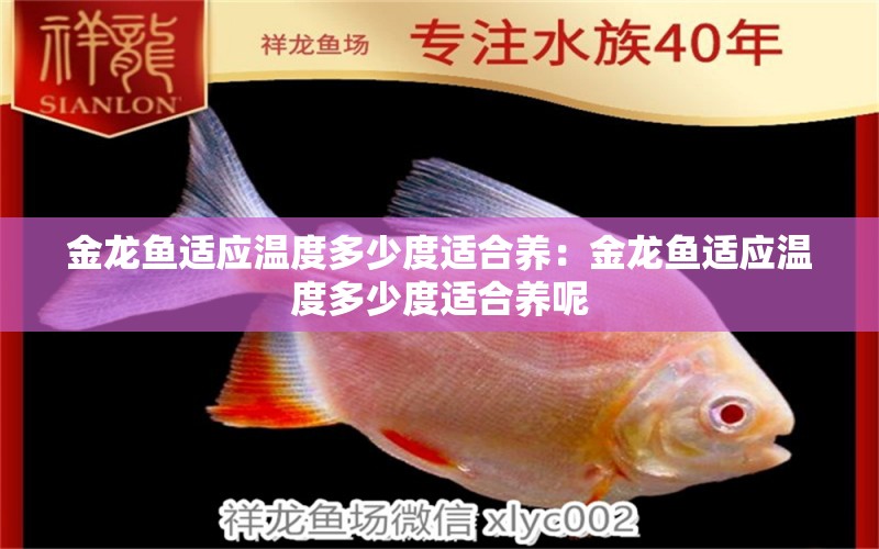 金龍魚(yú)適應(yīng)溫度多少度適合養(yǎng)：金龍魚(yú)適應(yīng)溫度多少度適合養(yǎng)呢