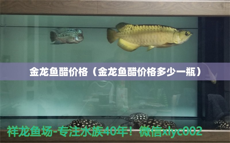 金龍魚醋價(jià)格（金龍魚醋價(jià)格多少一瓶）