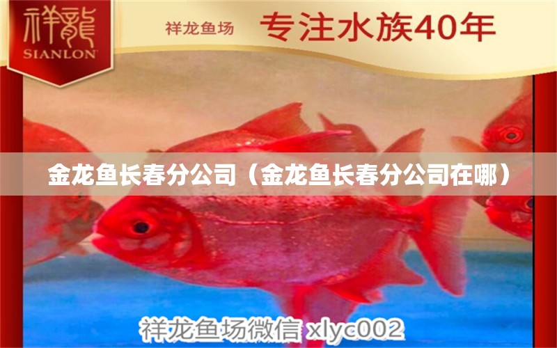 金龍魚長春分公司（金龍魚長春分公司在哪） 祥龍魚場