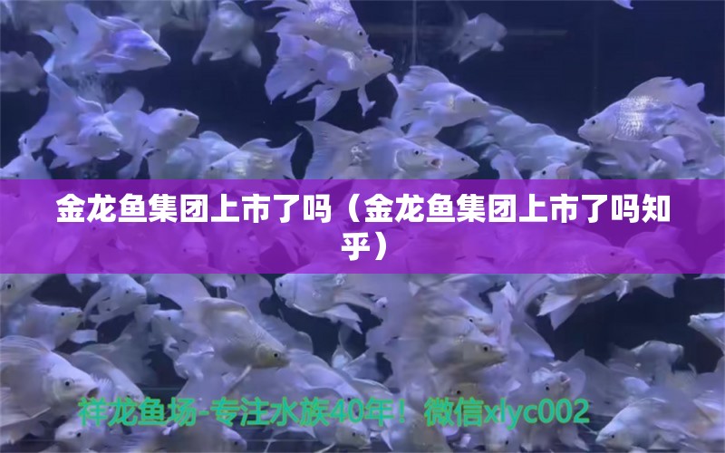 金龍魚集團(tuán)上市了嗎（金龍魚集團(tuán)上市了嗎知乎）