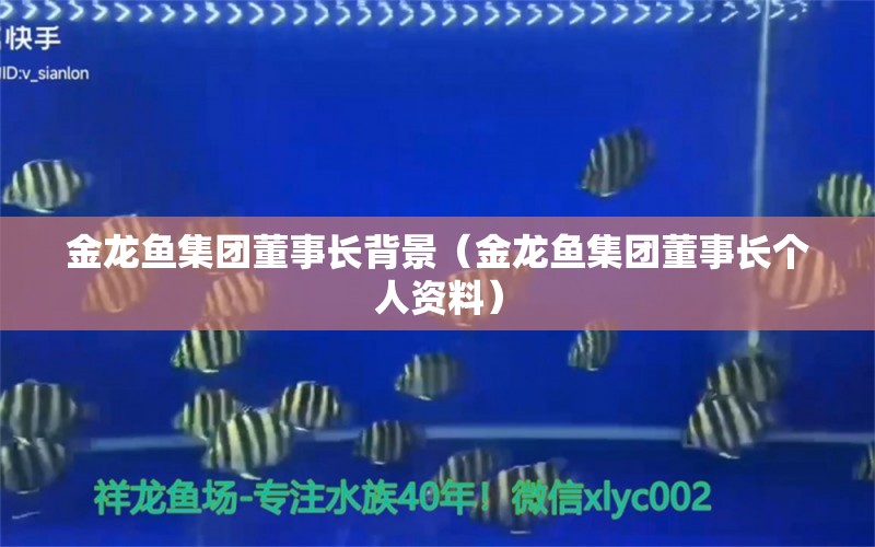 金龍魚集團董事長背景（金龍魚集團董事長個人資料） 超血紅龍魚