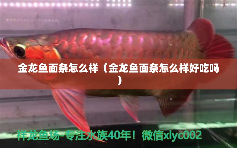 金龍魚面條怎么樣（金龍魚面條怎么樣好吃嗎） 觀賞魚市場（混養(yǎng)魚）