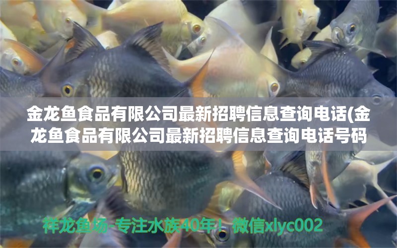 金龍魚食品有限公司最新招聘信息查詢電話(金龍魚食品有限公司最新招聘信息查詢電話號碼) 白子球鯊魚