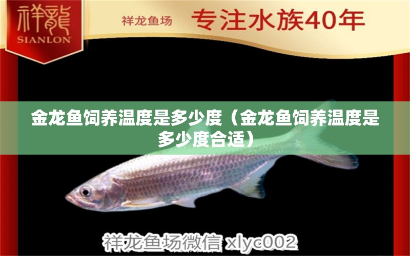 金龍魚飼養(yǎng)溫度是多少度（金龍魚飼養(yǎng)溫度是多少度合適） 量子養(yǎng)魚技術(shù)