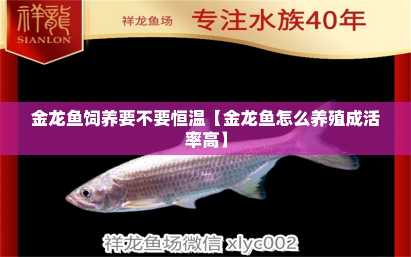 金龍魚飼養(yǎng)要不要恒溫【金龍魚怎么養(yǎng)殖成活率高】