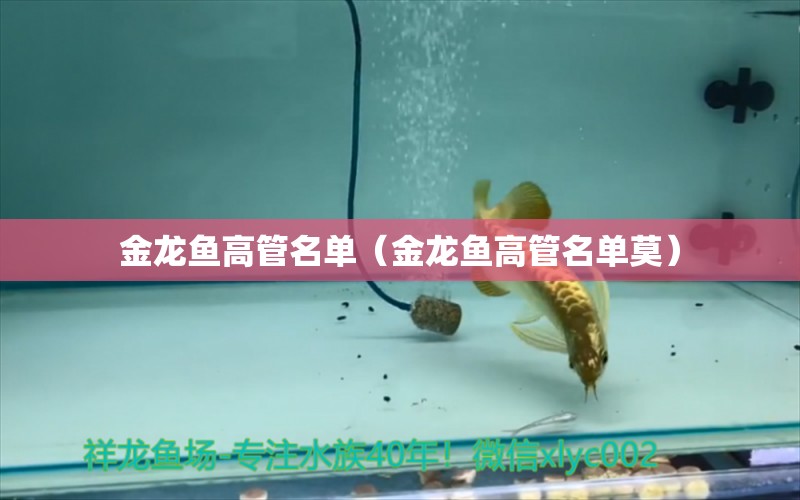 金龍魚(yú)高管名單（金龍魚(yú)高管名單莫）