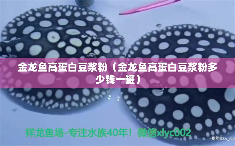 金龍魚高蛋白豆?jié){粉（金龍魚高蛋白豆?jié){粉多少錢一罐） 印尼虎苗