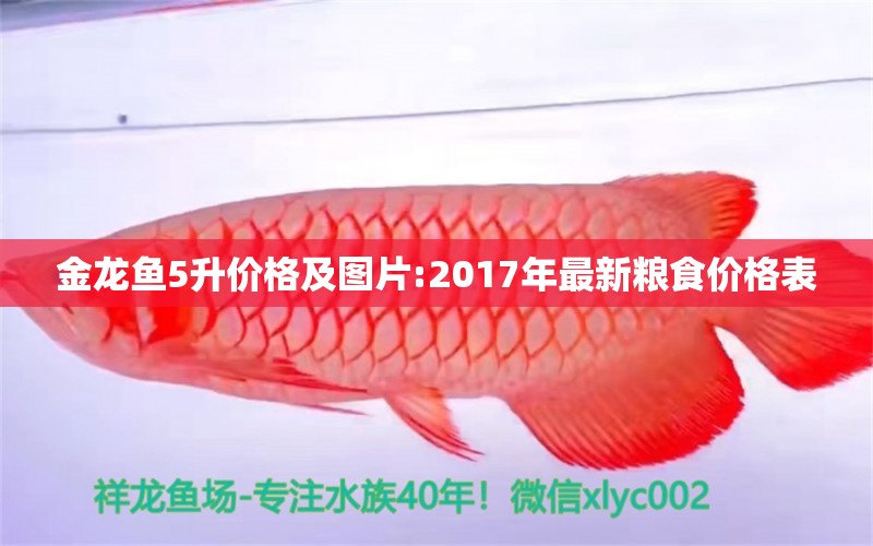 金龍魚5升價(jià)格及圖片:2017年最新糧食價(jià)格表