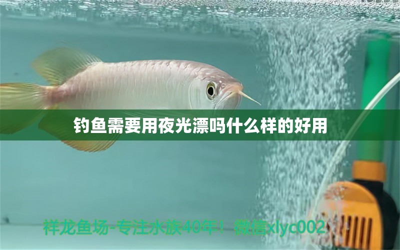 釣魚(yú)需要用夜光漂嗎什么樣的好用 申古銀版魚(yú)