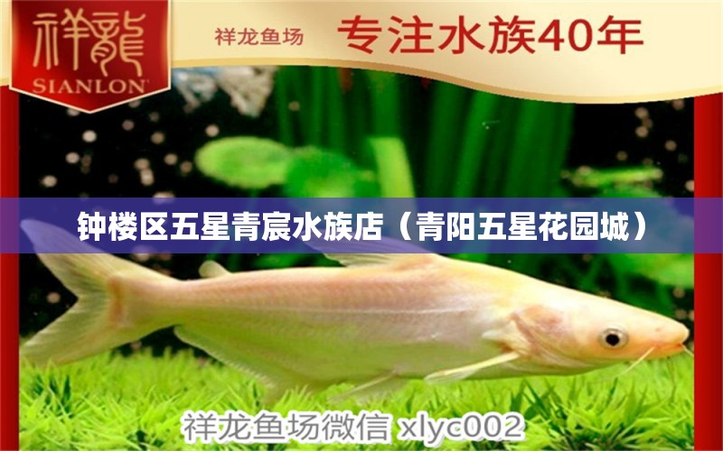 鐘樓區(qū)五星青宸水族店（青陽(yáng)五星花園城）