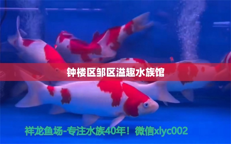 鐘樓區(qū)鄒區(qū)溢趣水族館