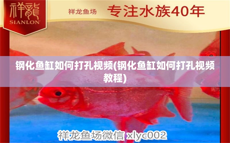 鋼化魚(yú)缸如何打孔視頻(鋼化魚(yú)缸如何打孔視頻教程) 黑桃A魚(yú)