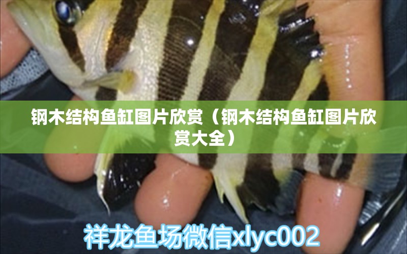 鋼木結(jié)構(gòu)魚缸圖片欣賞（鋼木結(jié)構(gòu)魚缸圖片欣賞大全）