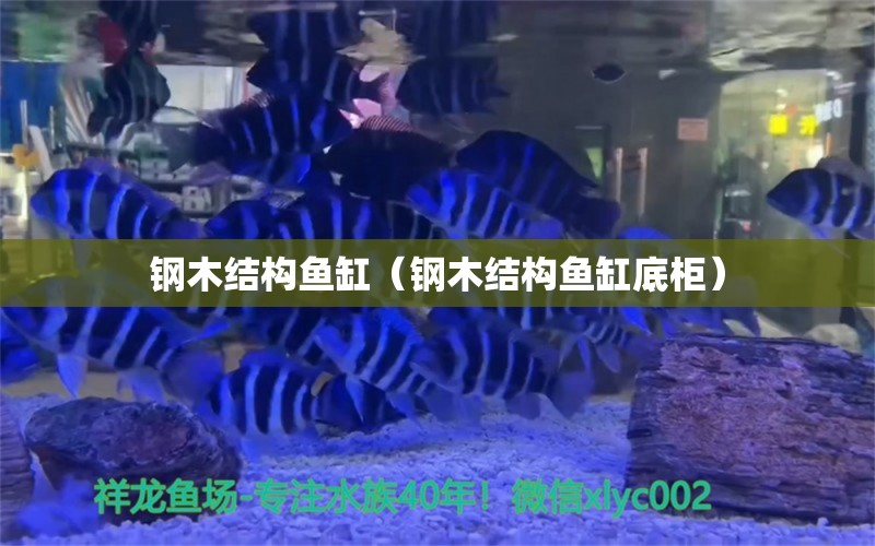 鋼木結(jié)構(gòu)魚缸（鋼木結(jié)構(gòu)魚缸底柜） 觀賞魚市場(chǎng)（混養(yǎng)魚）