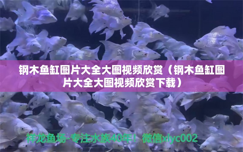 鋼木魚缸圖片大全大圖視頻欣賞（鋼木魚缸圖片大全大圖視頻欣賞下載） 圣菲埃及魚