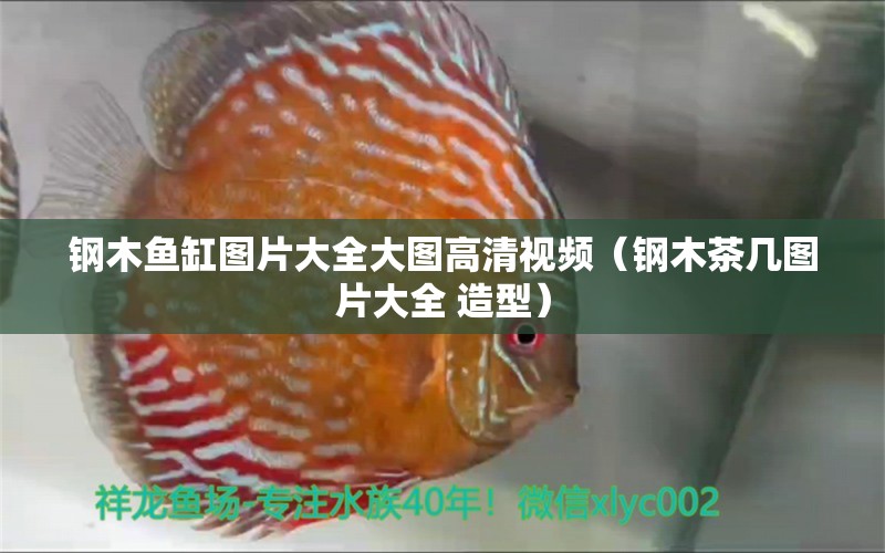 鋼木魚(yú)缸圖片大全大圖高清視頻（鋼木茶幾圖片大全 造型） 戰(zhàn)車紅龍魚(yú)