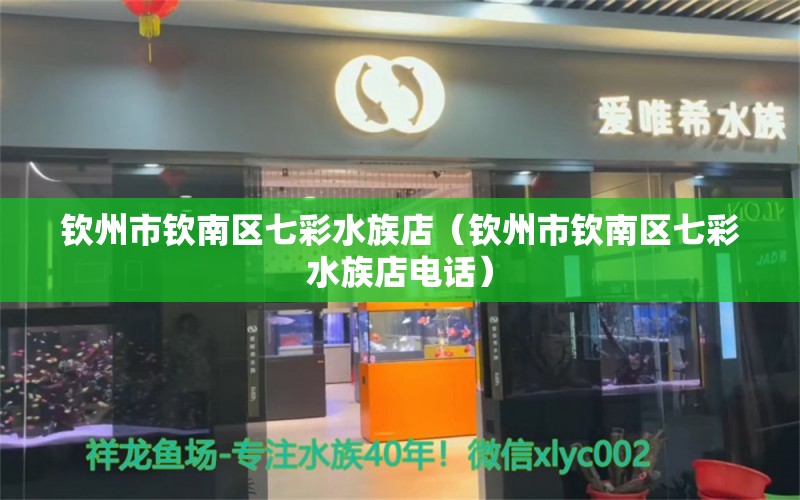 欽州市欽南區(qū)七彩水族店（欽州市欽南區(qū)七彩水族店電話）