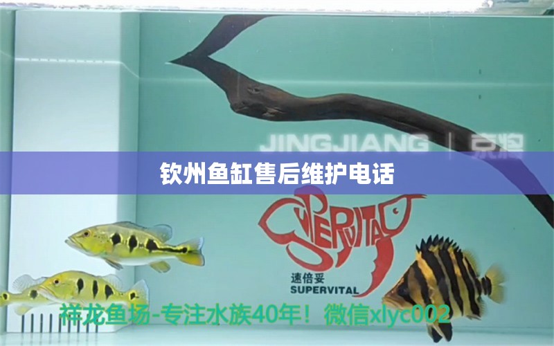 欽州魚缸售后維護電話 其他品牌魚缸