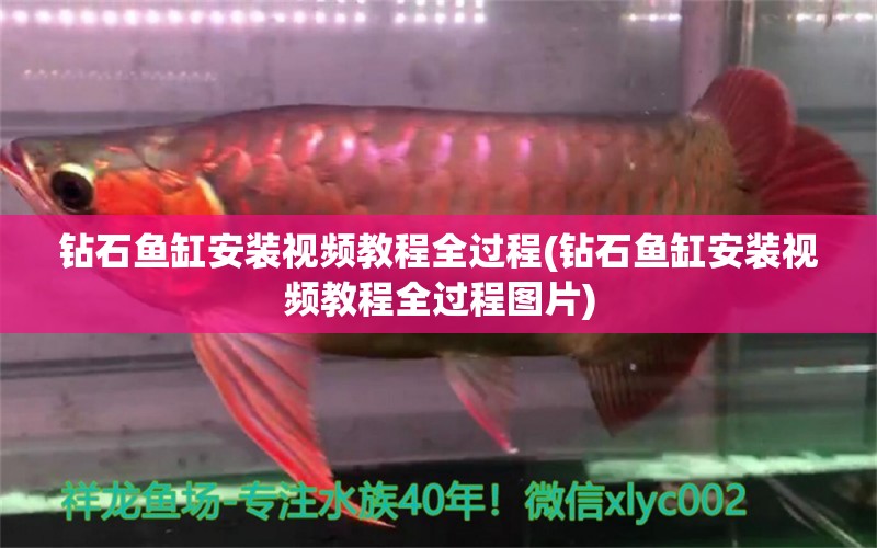 鉆石魚缸安裝視頻教程全過程(鉆石魚缸安裝視頻教程全過程圖片) 祥龍超血紅龍魚