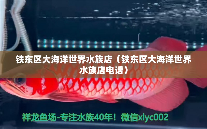 鐵東區(qū)大海洋世界水族店（鐵東區(qū)大海洋世界水族店電話）