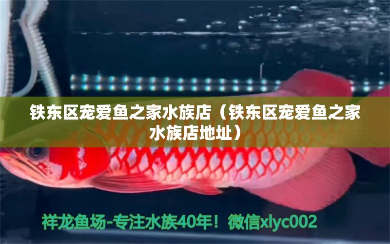 鐵東區(qū)寵愛魚之家水族店（鐵東區(qū)寵愛魚之家水族店地址） 全國水族館企業(yè)名錄