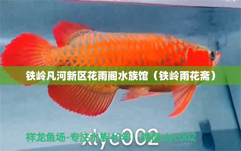 鐵嶺凡河新區(qū)花雨閣水族館（鐵嶺雨花齋） 全國水族館企業(yè)名錄