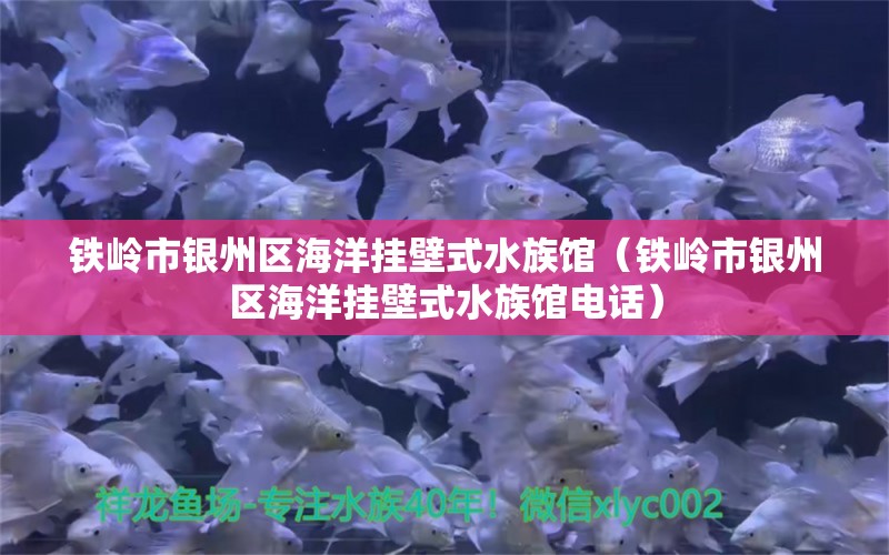 鐵嶺市銀州區(qū)海洋掛壁式水族館（鐵嶺市銀州區(qū)海洋掛壁式水族館電話）