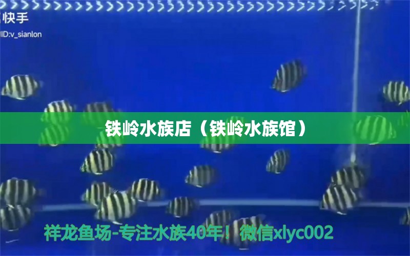 鐵嶺水族店（鐵嶺水族館） 觀賞魚(yú)市場(chǎng)